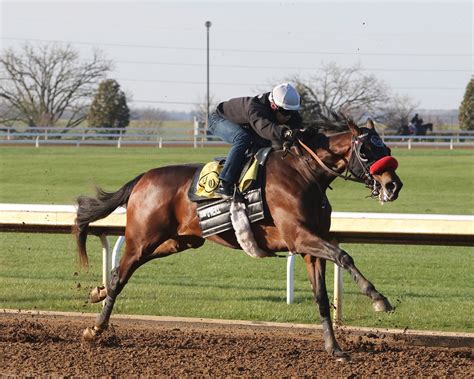 Keeneland equibase - Welcome to Equibase.com, your official source for horse racing results, mobile racing data, statistics as well as all other horse racing and thoroughbred racing information. ... Keeneland: 4/23/2022: 8 Ben Ali Stakes (Gr. 3) TB: 3 104: Fair Grounds: 3/26/2022: 9 New Orleans Classic Stakes (Gr. 2) TB: 2 106: Fair Grounds: 2/25/2022: 9 …